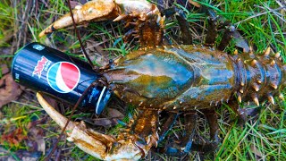 Catching MASSIVE crayfish in a flooded river [upl. by Tatum]