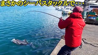 【衝撃映像】漁港で2m級の超巨大マグロを釣り上げた！！ [upl. by Outlaw]