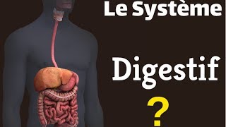 Le Système Digestif [upl. by Drol]