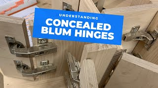 All the main Blum hinge types explained [upl. by Luo]