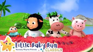 Down By The Bay  Original Little Baby Bum Songs  Nursery Rhymes for Babies [upl. by Karyl]