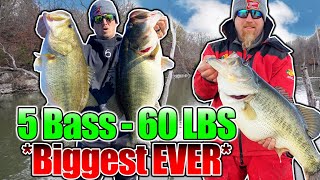 BIGGEST 5 Bass Limit EVER Caught on Film 60 POUNDS [upl. by Eliga]