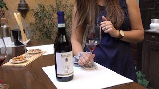 Italian Winery Tour Making Barolo and other Great Wines [upl. by Gifford272]