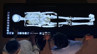 Revealed How King Tut Died [upl. by Wichern]