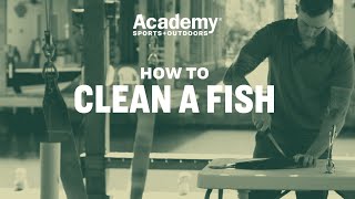 How To  Clean a Fish [upl. by Laurice]