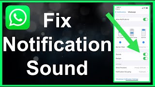 How To Fix WhatsApp Notification Sound EASY [upl. by Seraphina892]