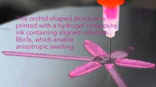 4D Printing Shapeshifting Architecture [upl. by Leal]