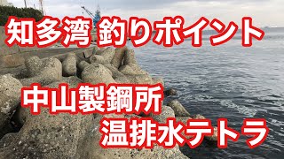 中山製鋼所 温排水テトラ 知多湾釣りポイント [upl. by Yc496]