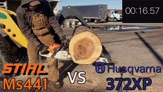 Stihl Ms441 vs Husqvarna 372xp Cutting Competition [upl. by Llennoj]