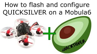 Flashing QUICKSILVER to a Mobula6 [upl. by Ayna]