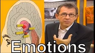 Comment prennent forme nos émotions  Cest pas sorcier [upl. by Adnohsar]