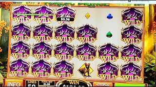 CASINO BET365  SUPER BIG WIN [upl. by Broeker360]