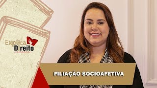 Explica Direito Filiação Socioafetiva  2019 [upl. by Dorisa]