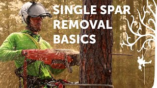 Spar removal basics  SRT tree climbing tutorial  Arborist Howto [upl. by Katharine]