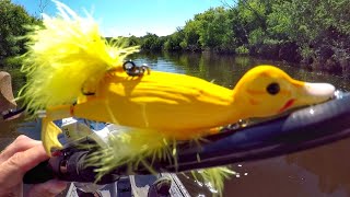 Fishing A Duck Lure For MONSTER Pike [upl. by Ellinger]