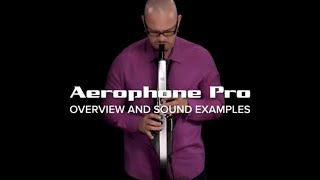 Roland Aerophone Pro Overview and Sounds [upl. by Lyrret]