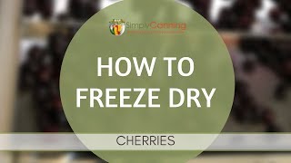 How to Freeze Dry Cherries [upl. by Radbourne]