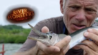 Can Jeremy Catch A Needlefish  NEEDLEFISH  River Monsters [upl. by Eusebio]