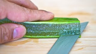 How to Make Aloe Vera Gel in 90 Seconds [upl. by Channa]