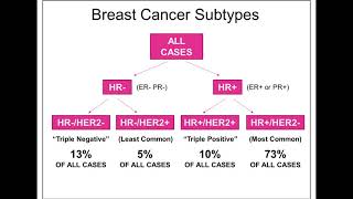 Optimizing Treatment Options for HER2 ER Breast Cancer using Models of Endocrine Resistance [upl. by Ennaerb665]