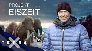 Zurück in die Eiszeit in drei Schritten  Dirk Steffens  Terra X [upl. by Moyer875]