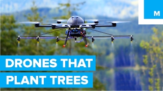 How Drones are Helping to Plant Trees  A Cleaner Future [upl. by Elburt101]