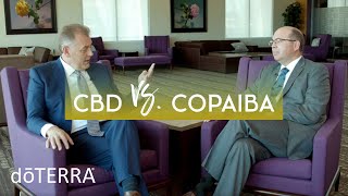 CBD Oil vs Copaiba Oil – Dr Hill and Dr O Discuss How CBD and Copaiba Work [upl. by Griffin595]