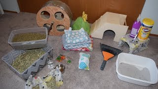 What You Need Before Getting A Chinchilla [upl. by Bal]