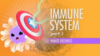 Immune System Part 1 Crash Course Anatomy amp Physiology 45 [upl. by Nilreb]