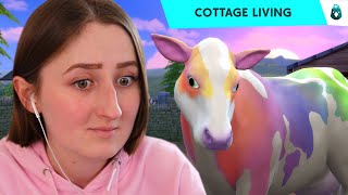 how i really feel about cottage living [upl. by Aerbua]