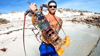 Catching GIANT CRAYFISH Barehanded For Food Living From The Ocean  Ep 194 [upl. by Ettelloc280]