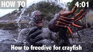 How to Freedive for Crayfish [upl. by Ran772]