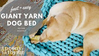 How to Knit a Giant Yarn Dog BedMachine Washable [upl. by Naarah]