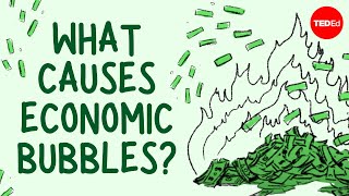 What causes economic bubbles  Prateek Singh [upl. by Ketchum]