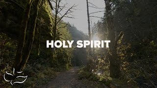 Holy Spirit  Maranatha Music Lyric Video [upl. by Florin38]