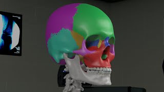 Chapter 1 Basic Sinus Anatomy [upl. by Syst]