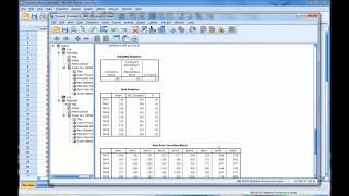 Calculating and Interpreting Cronbachs Alpha Using SPSS [upl. by Sarchet]