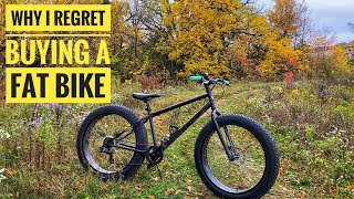 Why i Regret Buying a Fat Bike [upl. by Yruama912]