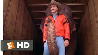 Smokey and the Bandit II 1980  Thats An Elephant Scene 110  Movieclips [upl. by Vial]