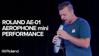 Roland AE01 Aerophone mini Performance and Sounds [upl. by Ahseral]