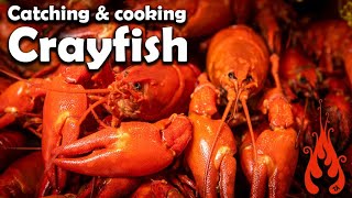 Catching and cooking crayfish [upl. by Sparky]