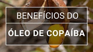 Os incríveis benefícios do óleo de copaíba [upl. by Yentroc]