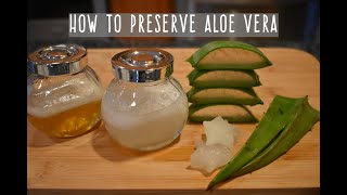 How To Preserve Aloe Vera  Aloe Vera Gel Storage [upl. by Armmat67]