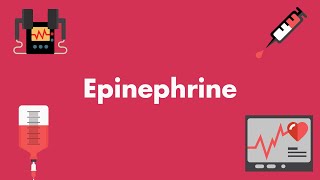 Epinephrine  Vasopressors amp Inotropes  MEDZCOOL [upl. by Sheelah]