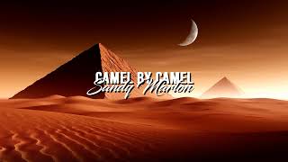 Sandy Marton  Camel by Camel Slowed [upl. by Erusaert328]