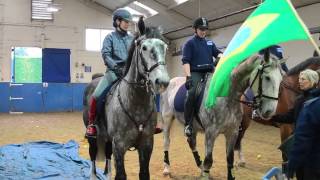 Metropolitan Mounted Police training [upl. by Macegan969]