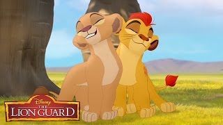 The Lion Guard quotHakuna Matataquot Song From The Lion King 🎶  disneyjr [upl. by Elwin398]