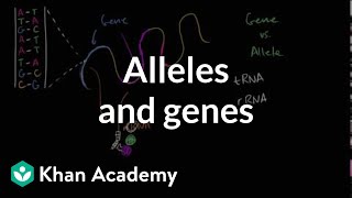 Where do genes come from  Carl Zimmer [upl. by Esilehc]