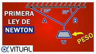 💥PRIMERA LEY DE NEWTON 👉 Peso de Bloque ►Equilibrio Traslacional◄ [upl. by Anaib]