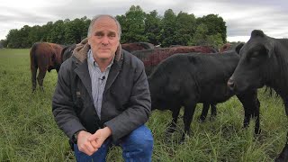 Managing a Small Cattle Herd [upl. by Harrison]